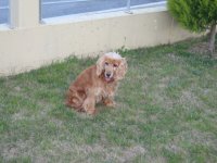 DSC00126.JPG