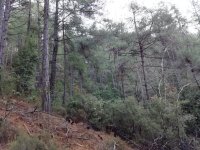 IMG_20200229_085728.jpg
