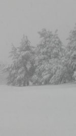 20200401_190630.jpg