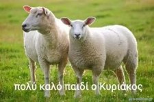 FB_IMG_1586726779606.jpg