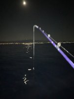 IMG_2251.jpg