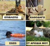 FB_IMG_1597006647367.jpg