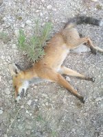 IMG_20200823_082502.jpg