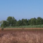 20200830_093655.jpg