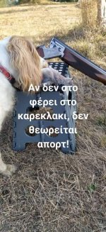 received_358320518881619.jpeg