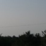 20200920_175427.jpg