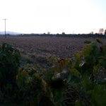 20200921_071134.jpg