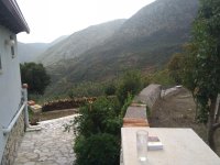 IMG_20200926_115041.jpg