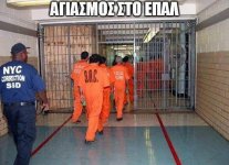 IMG-5854c6d025844800a7a143bd09bac7ff-V.jpg