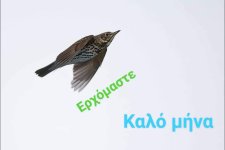 received_2475417362750672.jpeg