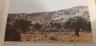 20201001_194127.jpg