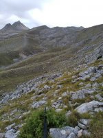 IMG_20201003_083554.jpg