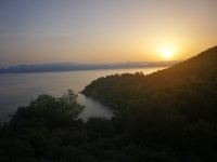 IMG_20201004_074143.jpg