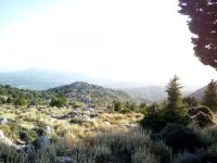 IMG_20201004_085851.jpg