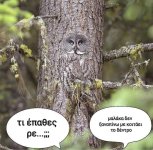 FB_IMG_1601985324165.jpg