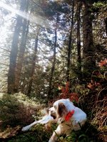 20181106_103509.jpg