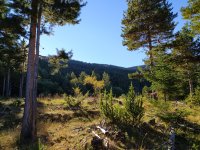 IMG_20201010_093344.jpg