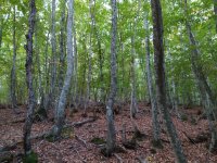 IMG_20201021_075834.jpg
