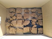 IMG_20201023_100640.jpg