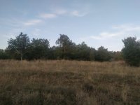 IMG_20201024_074430.jpg