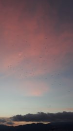 Screenshot_20201025-065030_Photos.jpg