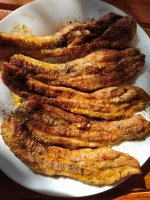 IMG_20201026_134926.jpg