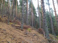 IMG_20201029_082416.jpg