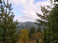 IMG_20201029_093815.jpg