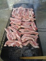 IMG_20201031_133410.jpg