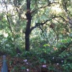 20201101_084108.jpg