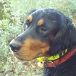 20201101_084042.jpg