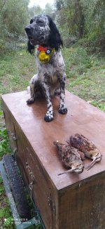 IMG_20201105_100209.jpg
