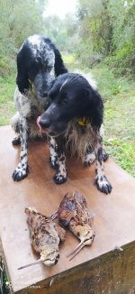 IMG_20201105_100255.jpg