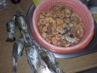 20201105_185907.jpg