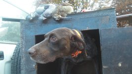 20201106_121404.jpg