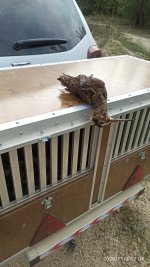 IMG_20201103_120419.jpg