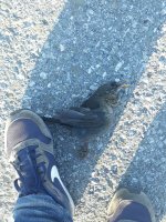 20201107_162357.jpg