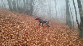 20201107_100116.jpg