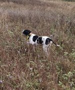 IMG_20201107_215416.jpg