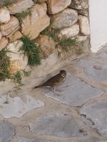 IMG_20201110_135245.jpg