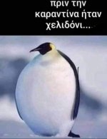 FB_IMG_1605040355463.jpg