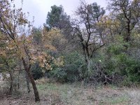 20201112_164846.jpg