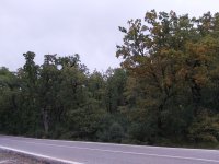 20201112_164829.jpg