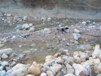 IMG_20201113_160217.jpg