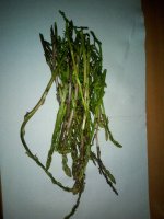 IMG_20201114_163442.jpg