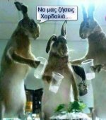 FB_IMG_1605373911706.jpg