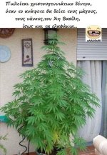 FB_IMG_1605390148963.jpg