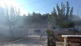 20201115_134521.jpg