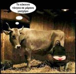 FB_IMG_1605437688016.jpg
