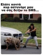 FB_IMG_1605475231538.jpg